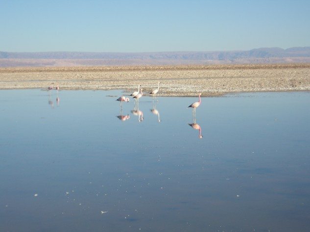Salar-de-Atacama-633x475