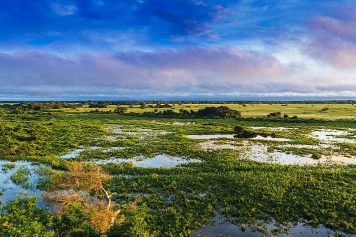 lua-de-mel-brasil-Pantanal_Mato_Grosso_Brasil-Filipefrazao-712x475