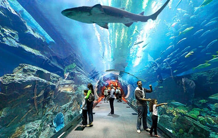 dubai-aquarium-750x475