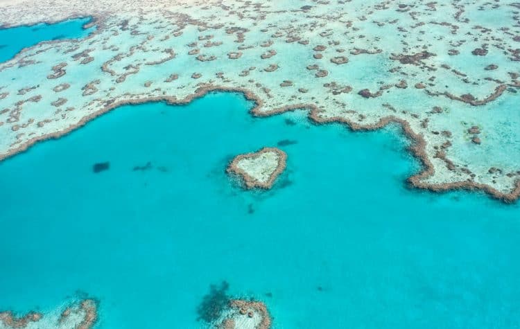 lua-de-mel-australia-barreira-de-corais-750x475