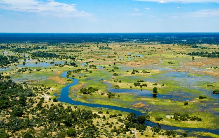 lua-de-mel-safari-Botsuana-okavango-750x475