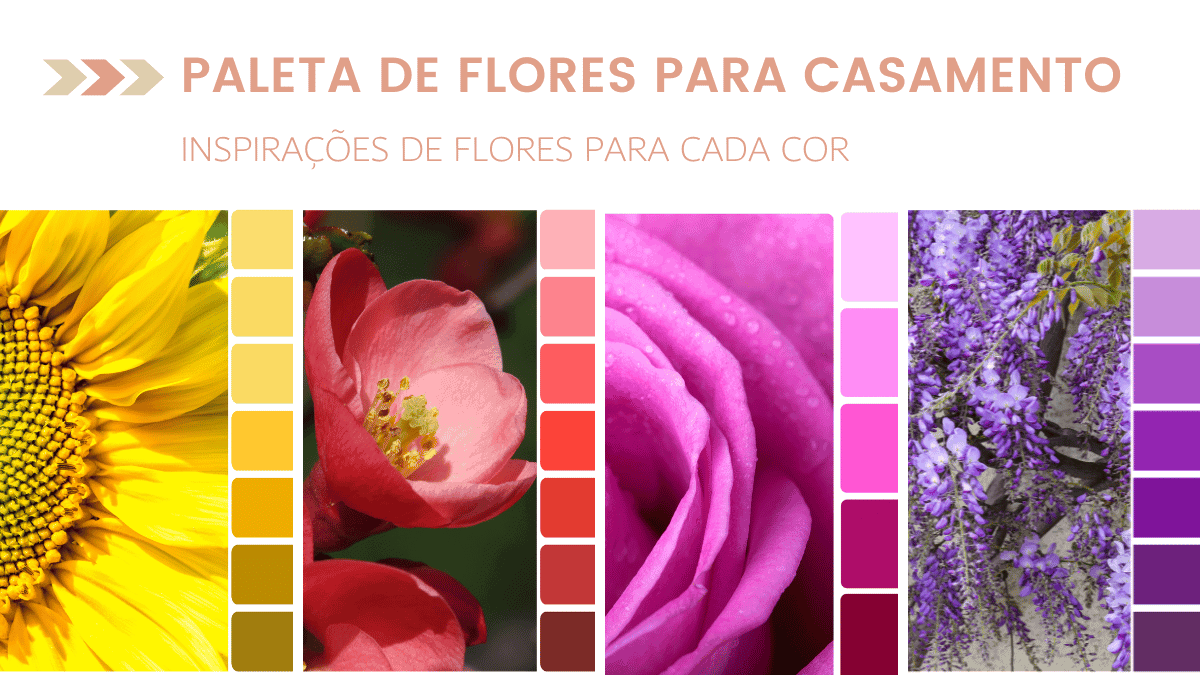 As cores das Rosas e os seus significados
