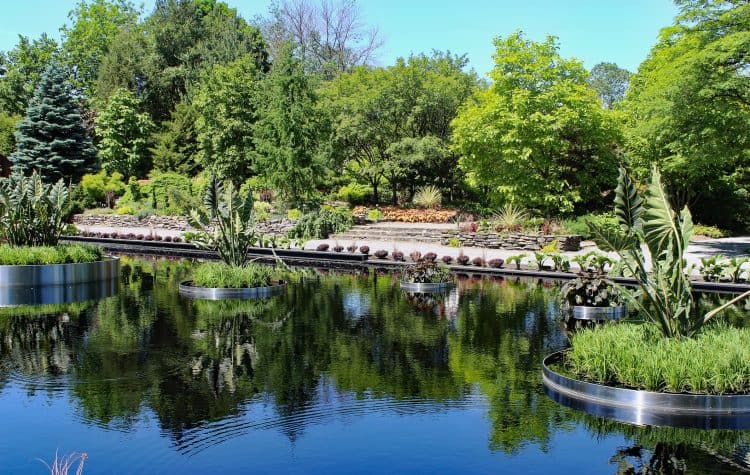Jardim-Botânico-de-Montreal-750x475
