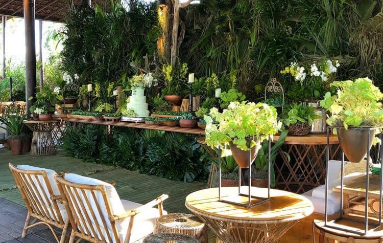 plantas-na-decoracao-laura-amaral-750x475
