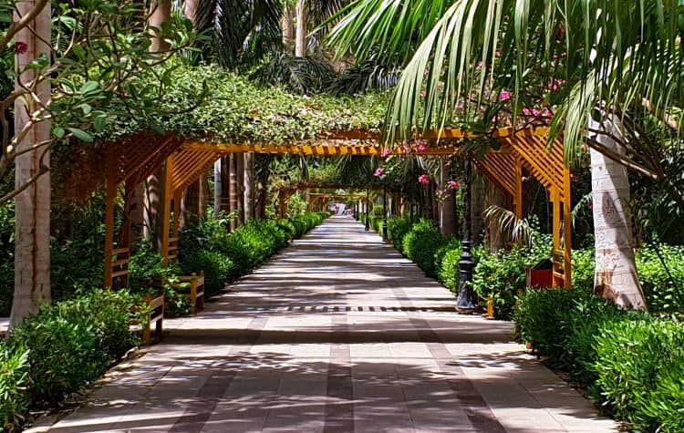 O-Jardim-Botânico-de-Aswan-é-uma-atração-ideal-para-os-casais-que-desejam-relaxar-em-uma-área-verde-tranquila.-750x475