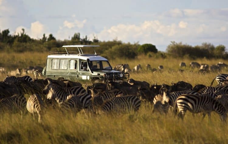 Na-Reserva-Nacional-Masai-Mara-os-safáris-normalmente-acontecem-a-bordo-de-jipes-bem-equipados-e-são-acompanhados-de-guias-especializados.-750x475
