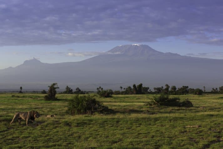 O-Amboseli-ocupa-uma-área-de-quase-40-mil-hectares-e-foi-declarado-Reserva-da-Biosfera-pela-Unesco-em-1991.-713x475