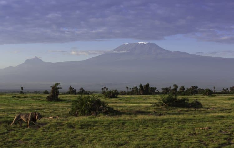 O-Amboseli-ocupa-uma-área-de-quase-40-mil-hectares-e-foi-declarado-Reserva-da-Biosfera-pela-Unesco-em-1991.-750x475