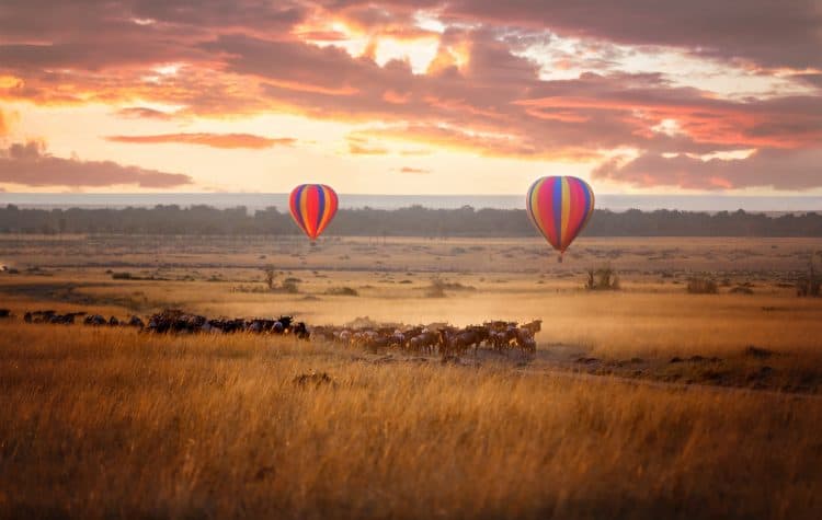 Para-uma-perspectiva-do-alto-um-safári-de-balão-permite-que-os-casais-apreciem-os-ângulos-mais-interessantes-da-reserva-Masai-Mara.-750x475