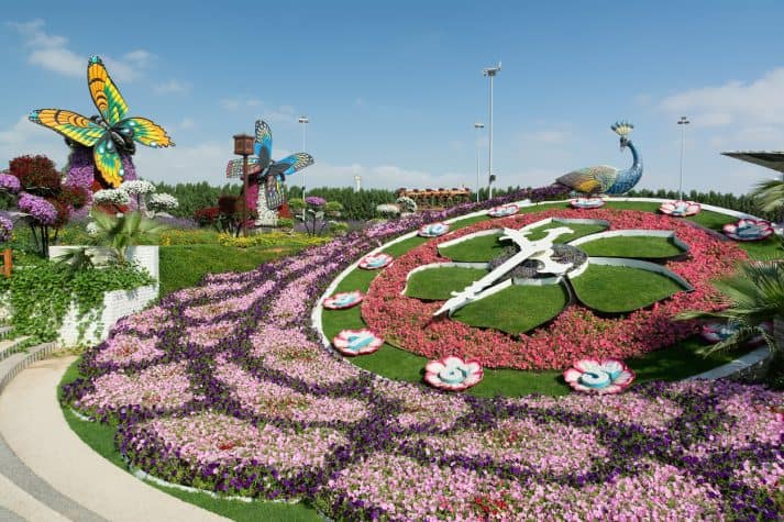 Lua-de-Mel-em-Dubai-Dubai-Miracle-Garden-713x475