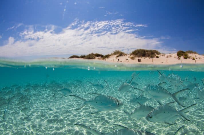 Ningaloo-Reef-Lua-de-mel-na-Austraia-onde-ir-e-ficar-3-713x475