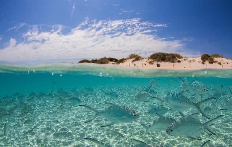 Ningaloo-Reef-Lua-de-mel-na-Austraia-onde-ir-e-ficar-3-750x475